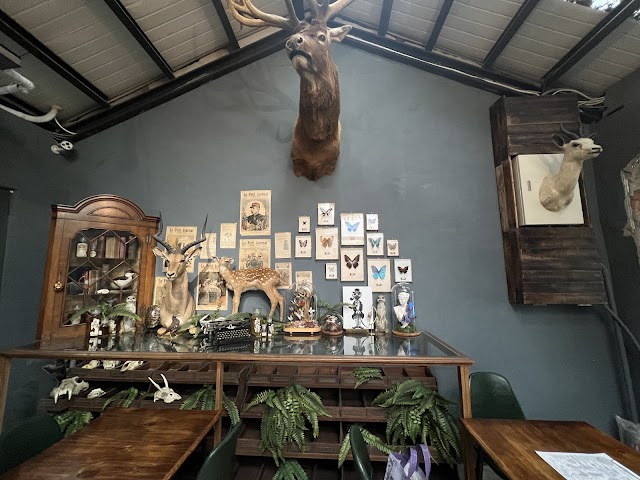 狐獴先生早午餐【台南市東區狐獴餐廳】早午餐約會餐廳｜狐獴咖啡廳｜特色餐廳｜隱藏版早午餐