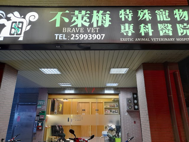 不萊梅特殊寵物專科醫院