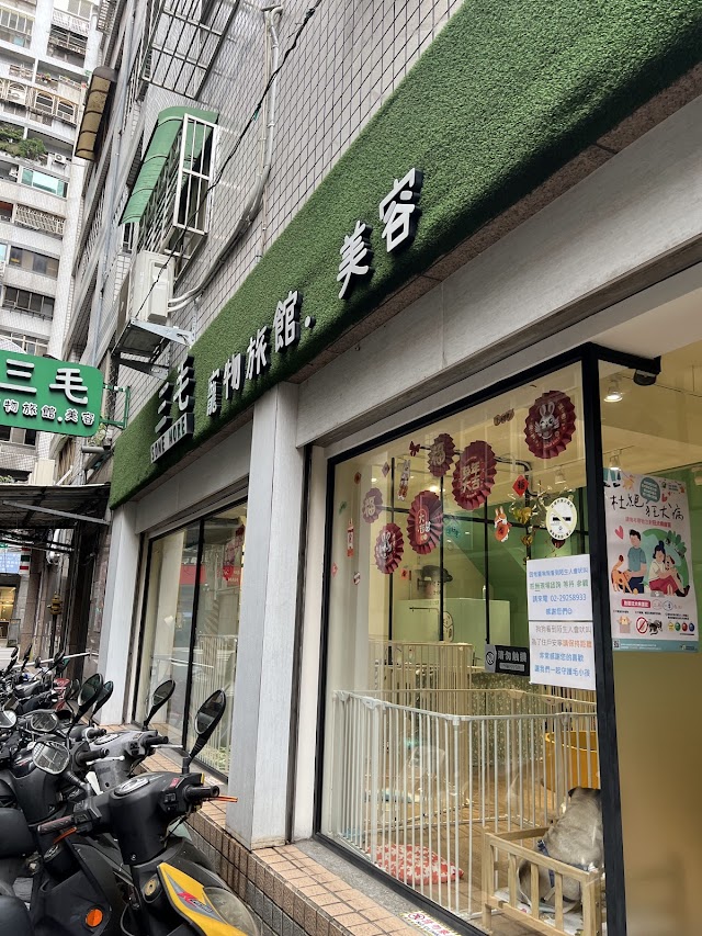 三毛寵物旅館/三毛寵物美容/貓咪住宿/狗狗美容/狗狗洗澡
