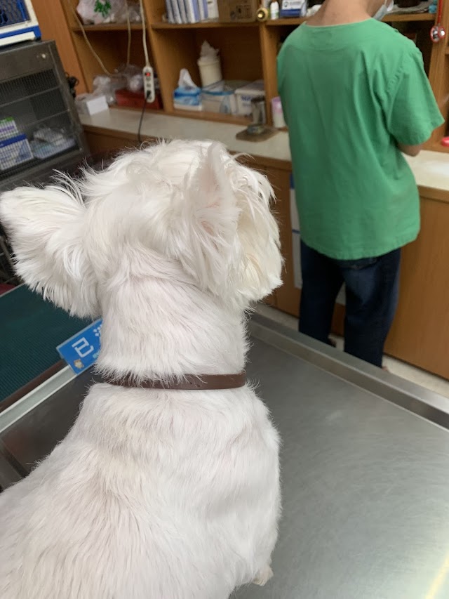 陽光犬貓專科醫院