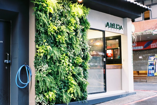 植物園烘焙甜點店 Albuca Dessert 泰順店
