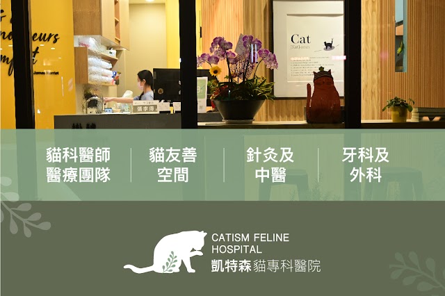 凱特森貓專科醫院/貓科醫師團隊/貓友善空間/針灸與中醫/牙科與外科