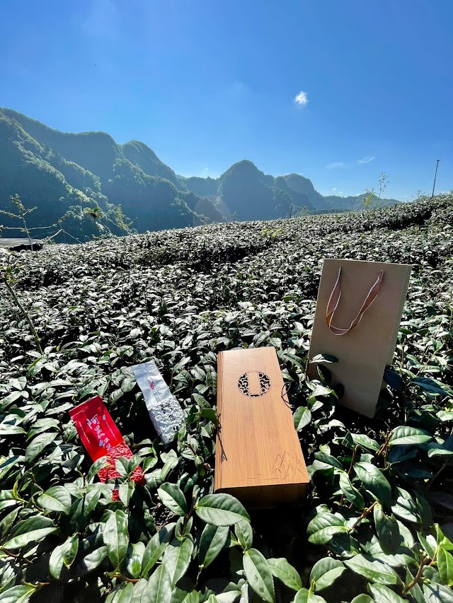 沐正農場 木一館 l 嘉義包棟民宿