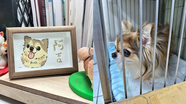 人人動物醫院
