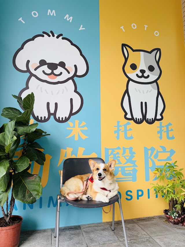 湯米托托動物醫院 TOMMY&TOTO Animal Hospital