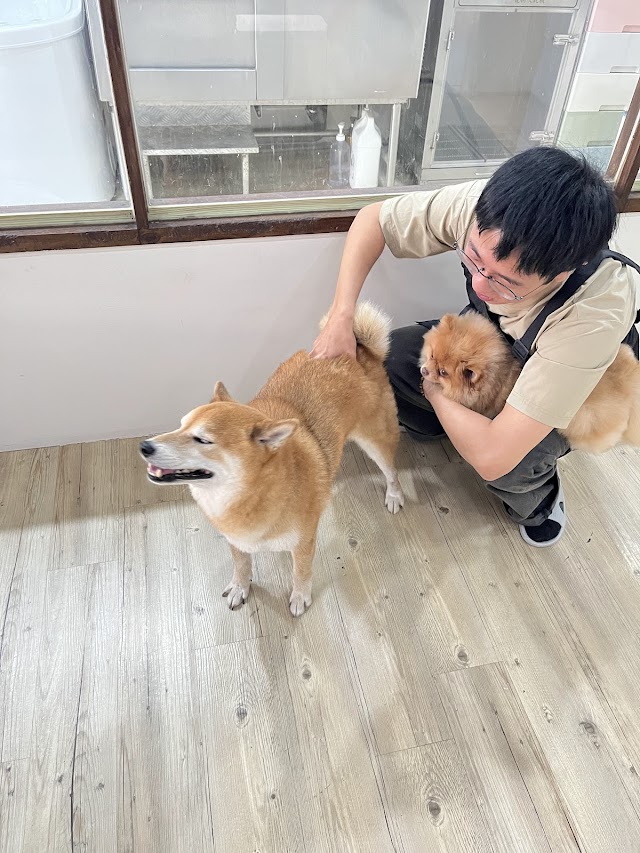 再想享寵物美容