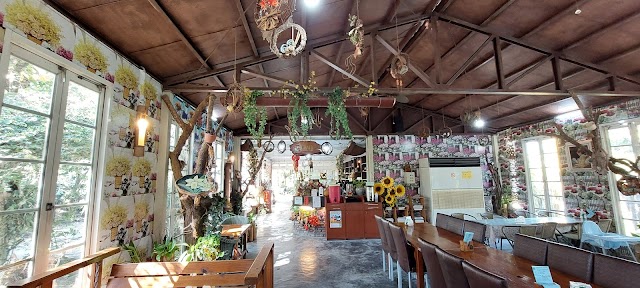 漂流木花園餐廳
