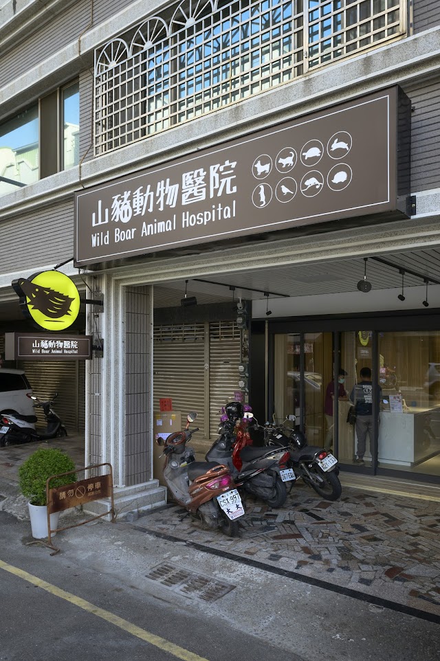 山豬動物醫院