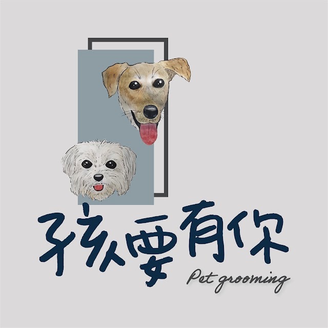 孩要有你寵物沙龍 ‍ 桃園寵物美容 桃園寵物沙龍 桃園寵物洗澡 桃園貓狗剪毛 藝文特區寵物美容 藝文特區洗狗
