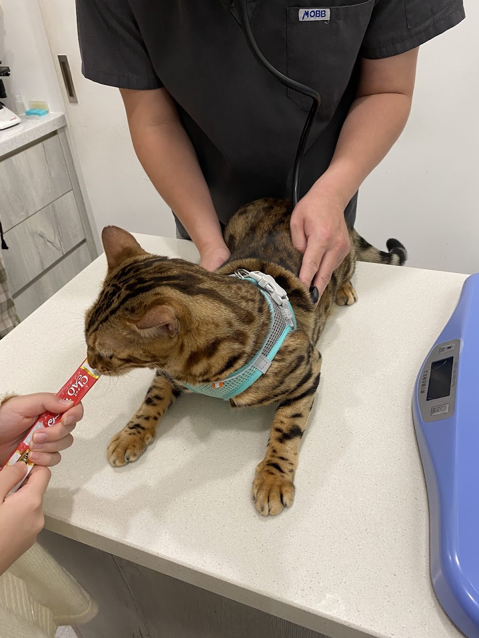 小腳印動物醫院（預約制）