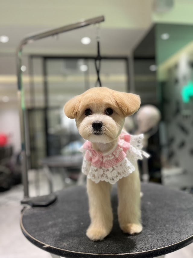 Luby Pet Spa 路比寵物美容