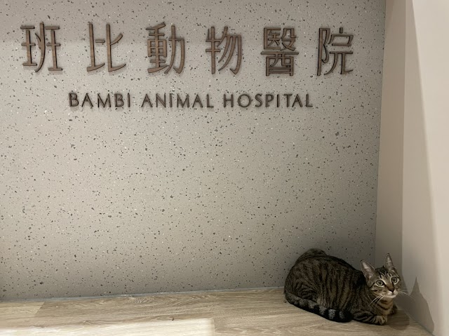 班比動物醫院 BAMBI ANIMAL HOSPITAL