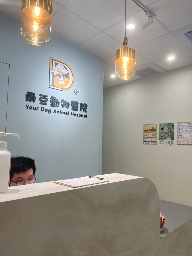 雨豆動物醫院《內科｜外科｜眼科｜皮膚科｜心臟科｜腎臟科｜牙科洗牙｜絕育結紮｜健康檢查｜預防注射 》