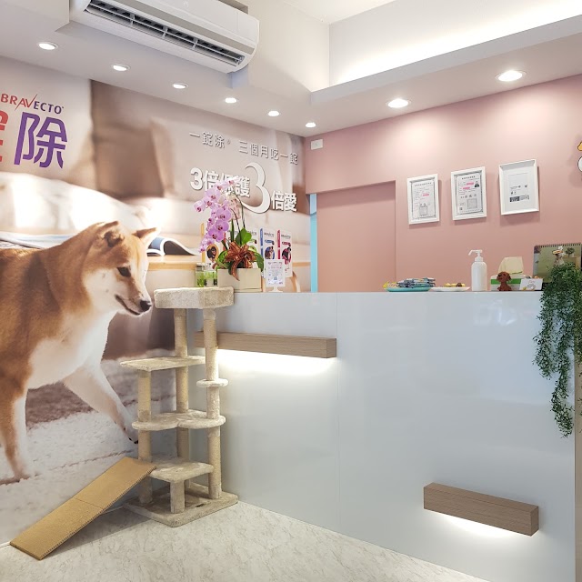 樂膚莉動物醫院 | 專業犬貓皮膚科門診-台北大安寵物皮膚科權威/專科 狗貓/獸醫院皮膚科第一品牌 過敏/異位性/皮屑/泛紅/禿毛/搔癢/脫毛症/發霉/黴菌感染/皮膚疣/皮膚腫瘤 專業首選推薦 PTT Dcard