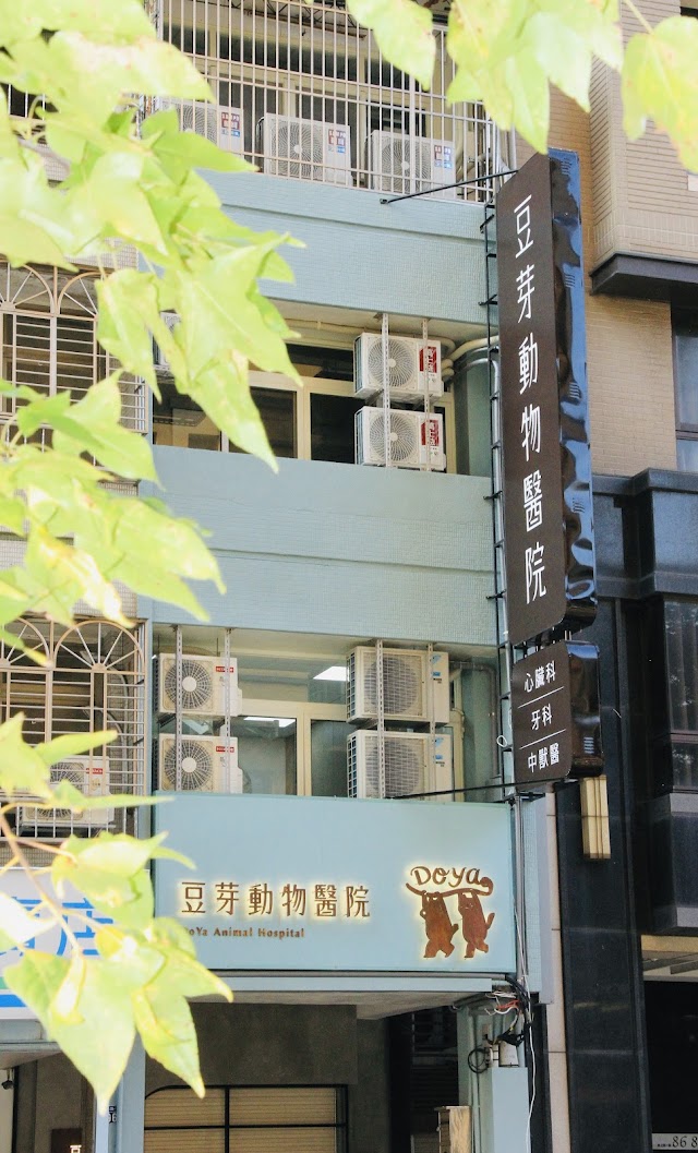 豆芽動物醫院(犬貓心臟科│進階牙科│腫瘤內外科│針灸中獸醫│心臟腹腔超音波)