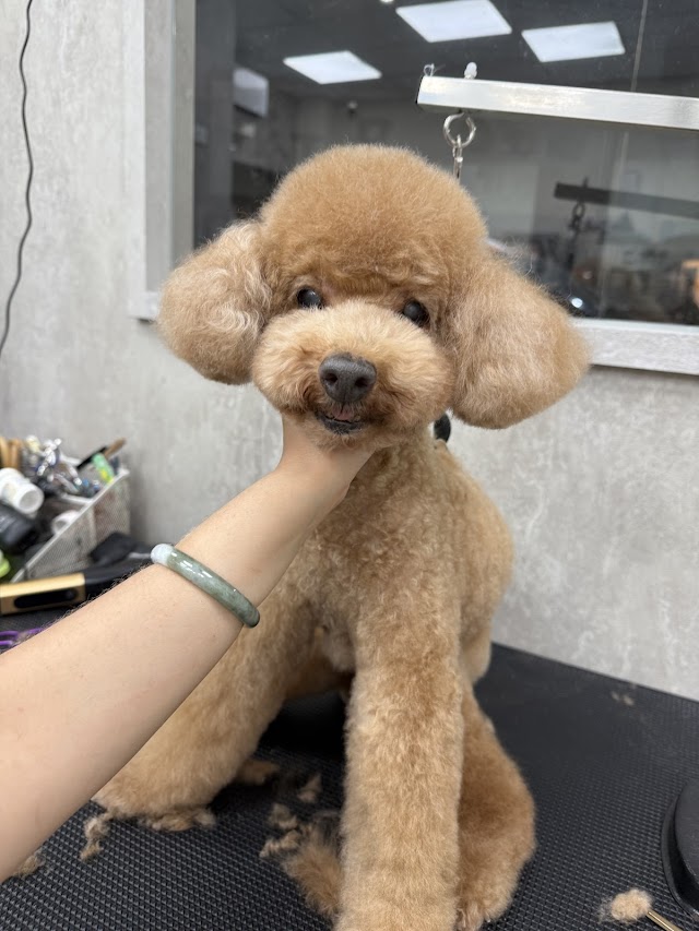 芭比狗狗寵物生活館