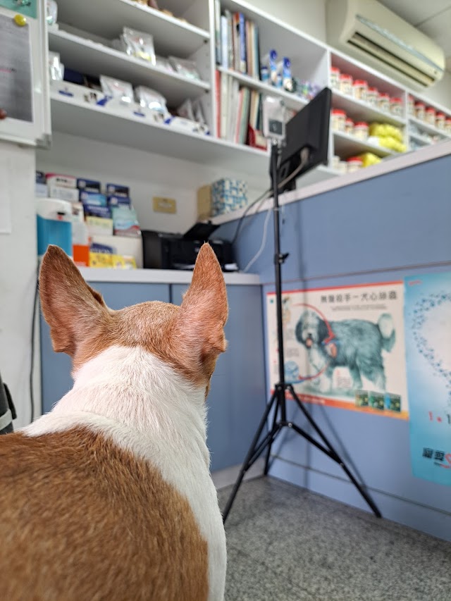 護生動物醫院 Full-Life (Hu Shen) Vet Clinic
