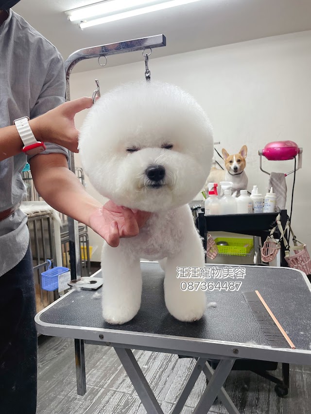 汪汪寵物美容