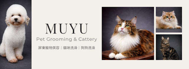 沐遇寵物 MuYuPet 預約制寵物美容 貓旅館 頂級貓舍 週三、週四為彈性接待日,如需預約請提前聯繫安排