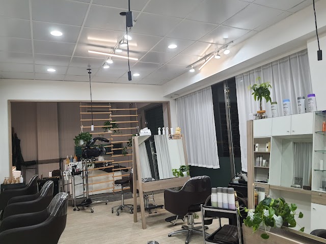 檸檬水日系美髮工作室/白髮共存.漂髮專門店/Lemonade hair salon