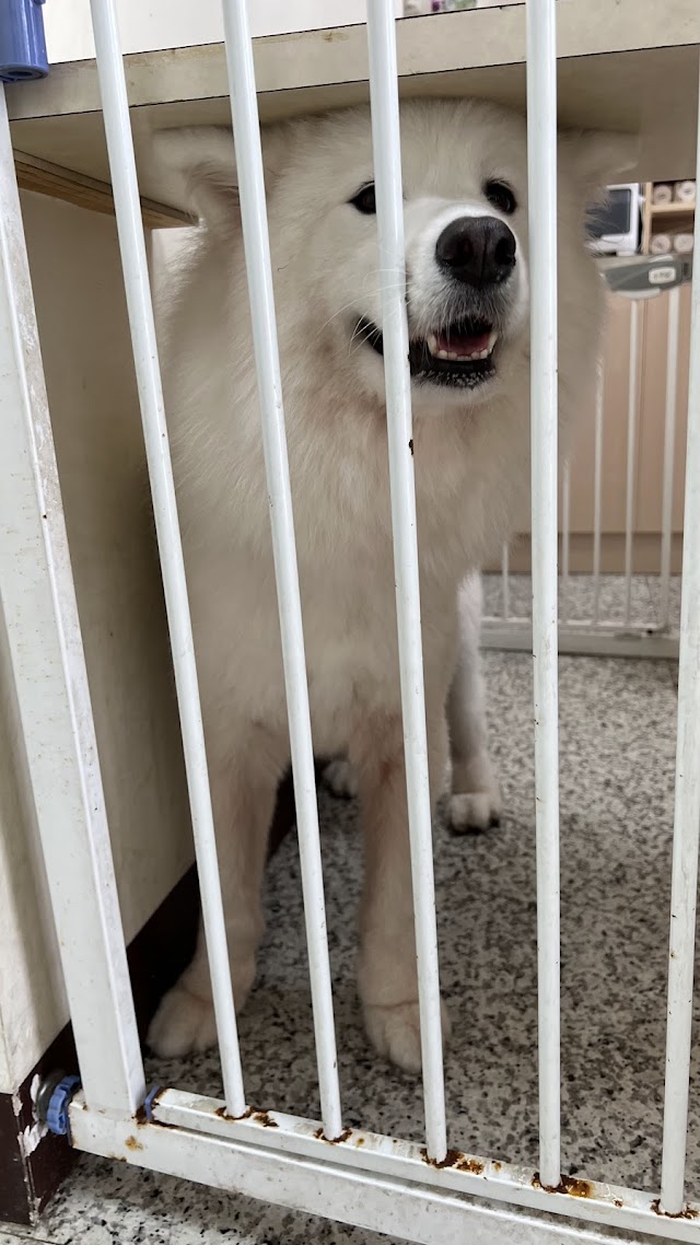 佳欣動物醫院